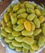 কাটিমন | ৫ কেজি