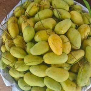 কাটিমন | ৫ কেজি