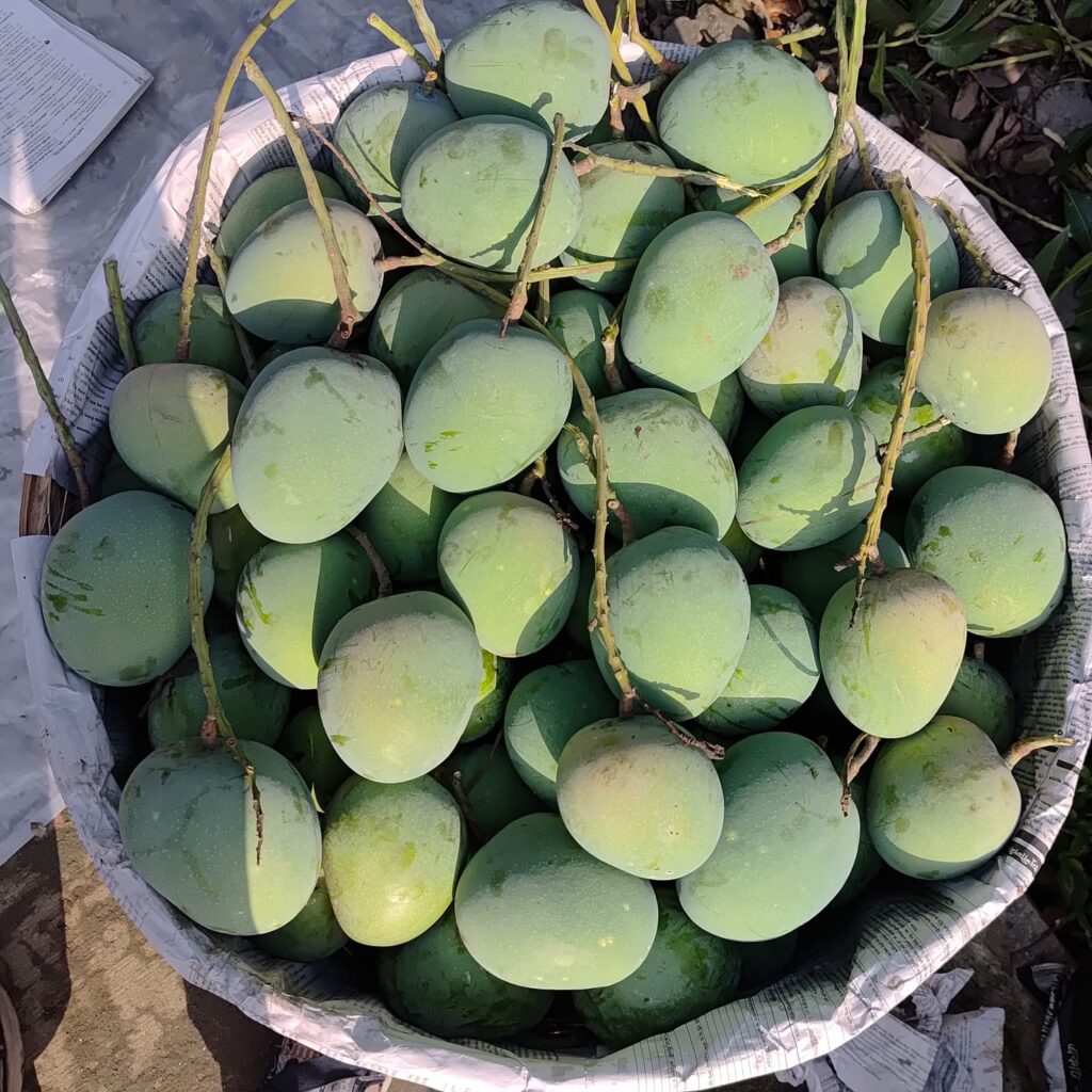 govindabhog