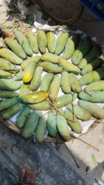 ব্যানানা আম | ৬ কেজি