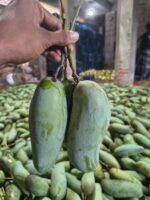 ব্যানানা আম | ১০ কেজি