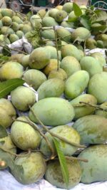 ফজলি আম | ১০ কেজি - Image 2