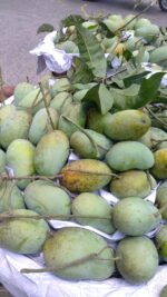 ফজলি আম | ১০ কেজি - Image 3