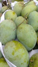 ফজলি আম | ১০ কেজি - Image 4