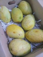লতা ফজলী আম | ১০কেজি - Image 2